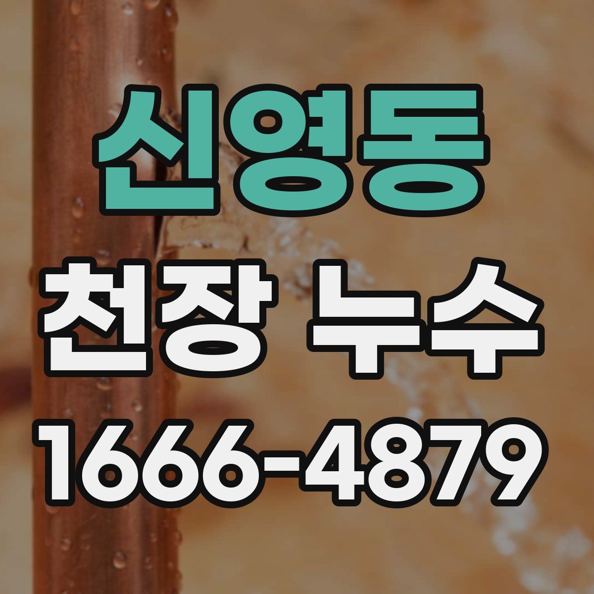 신영동 천장 누수