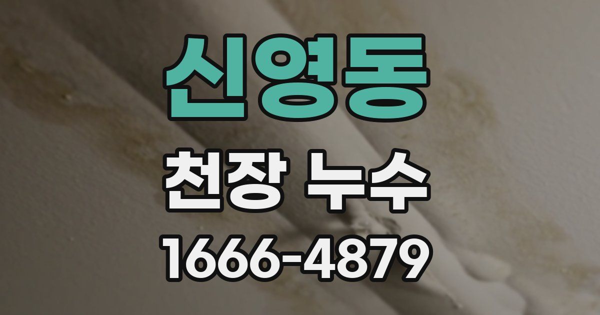 신영동 천장 누수