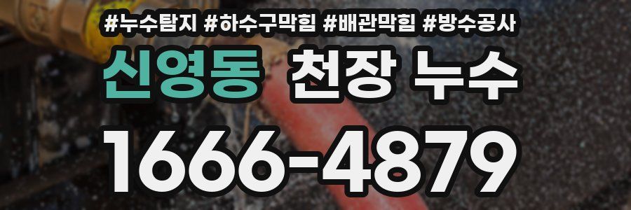 신영동 천장 누수