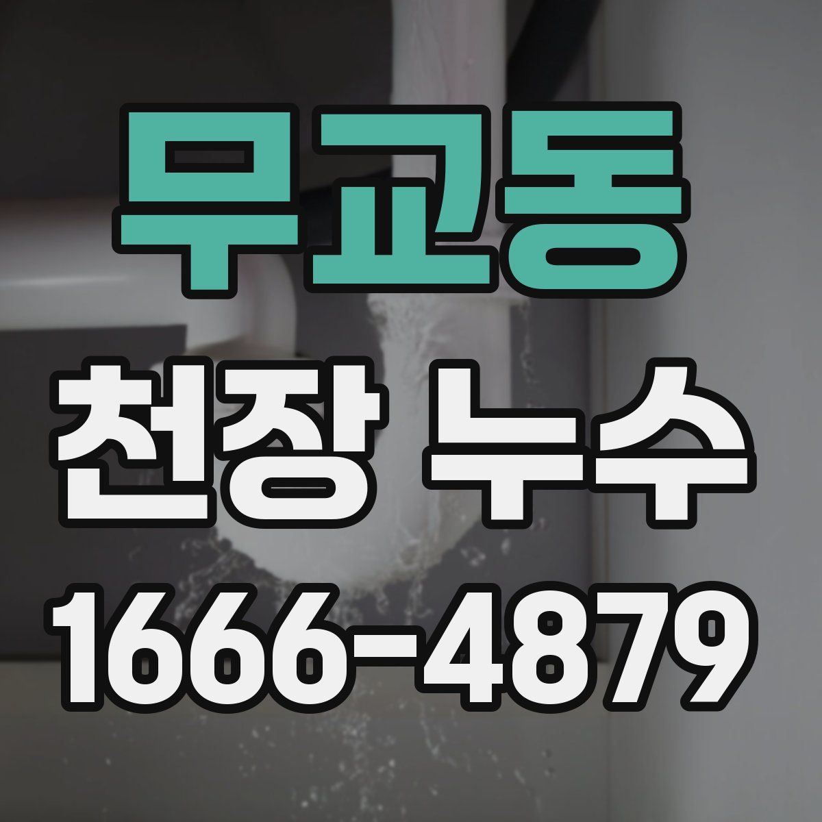 무교동 천장 누수