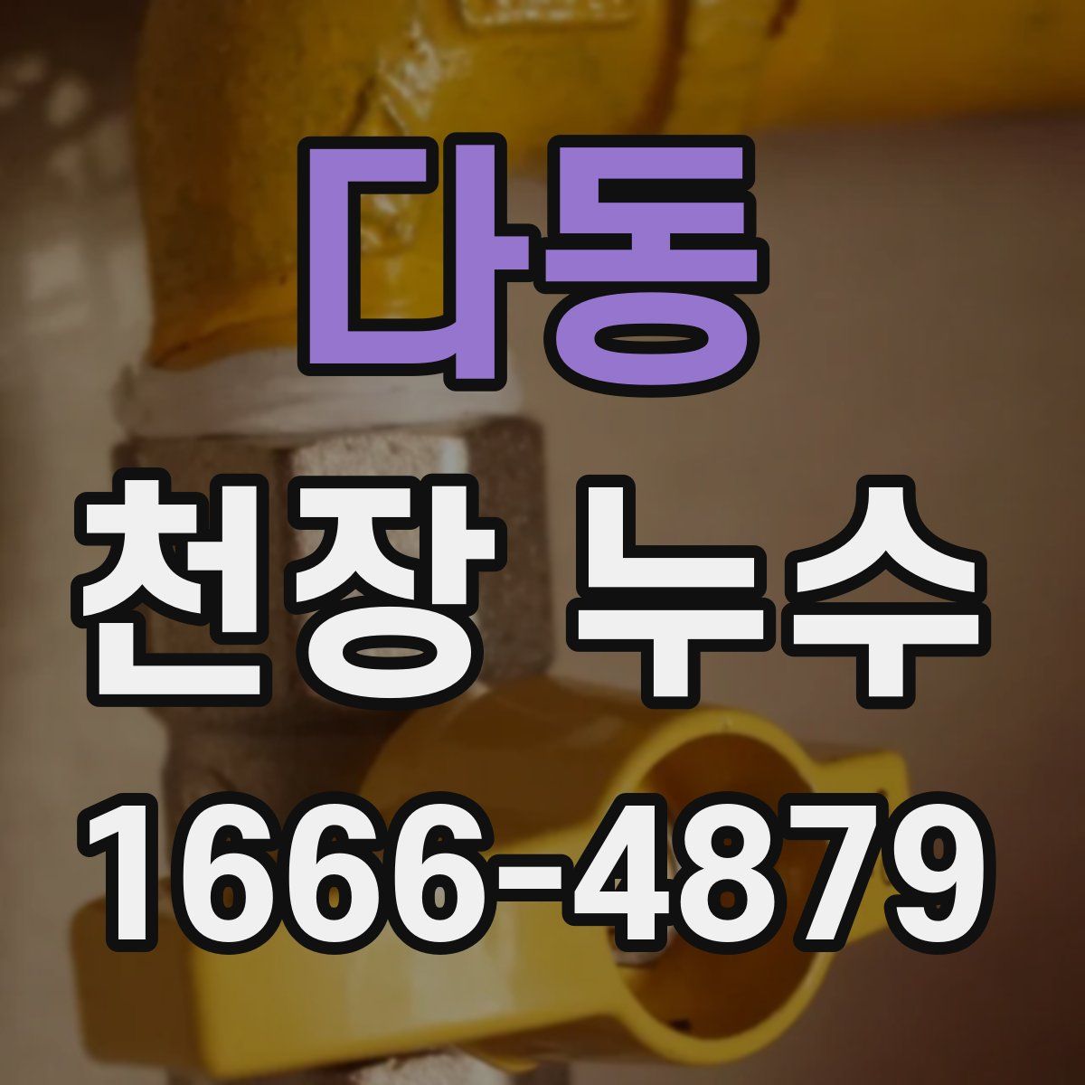 다동 천장 누수