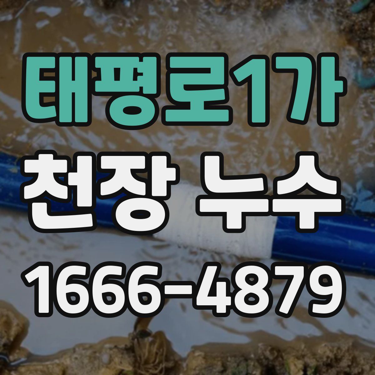 태평로1가 천장 누수
