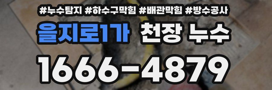 을지로1가 천장 누수