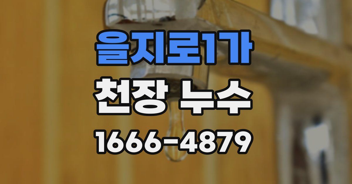 을지로1가 천장 누수