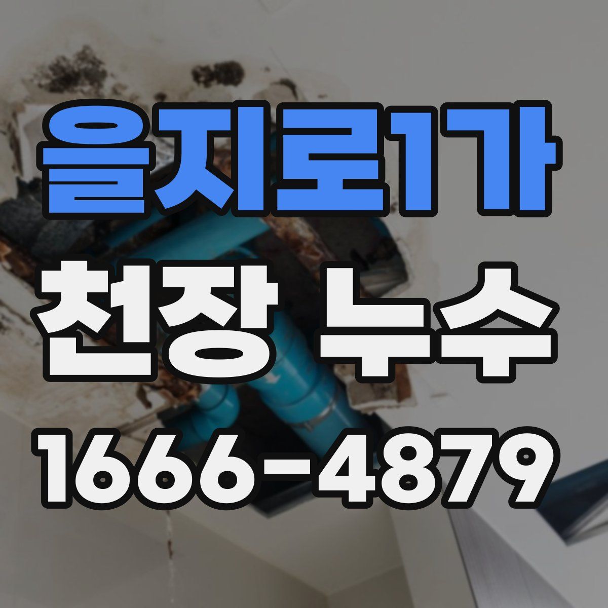 을지로1가 천장 누수