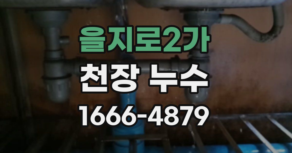 을지로2가 천장 누수