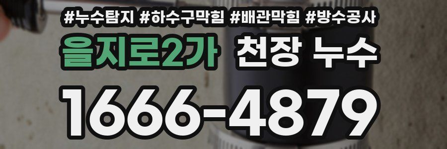 을지로2가 천장 누수