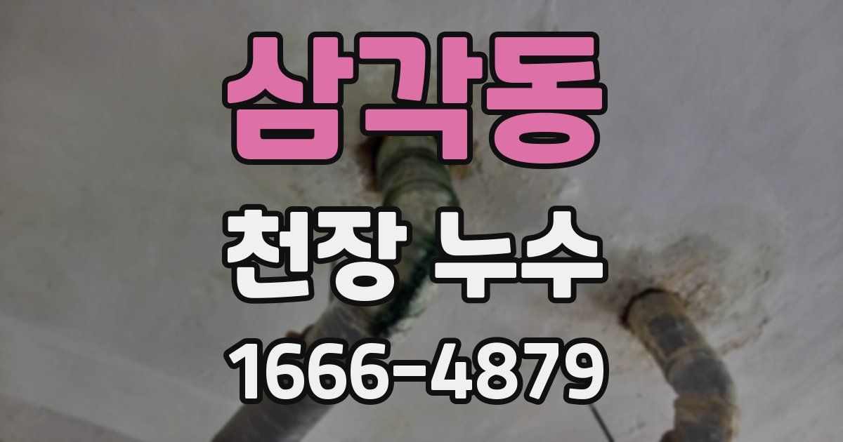 삼각동 천장 누수
