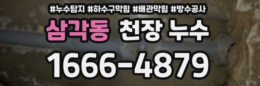 삼각동 천장 누수