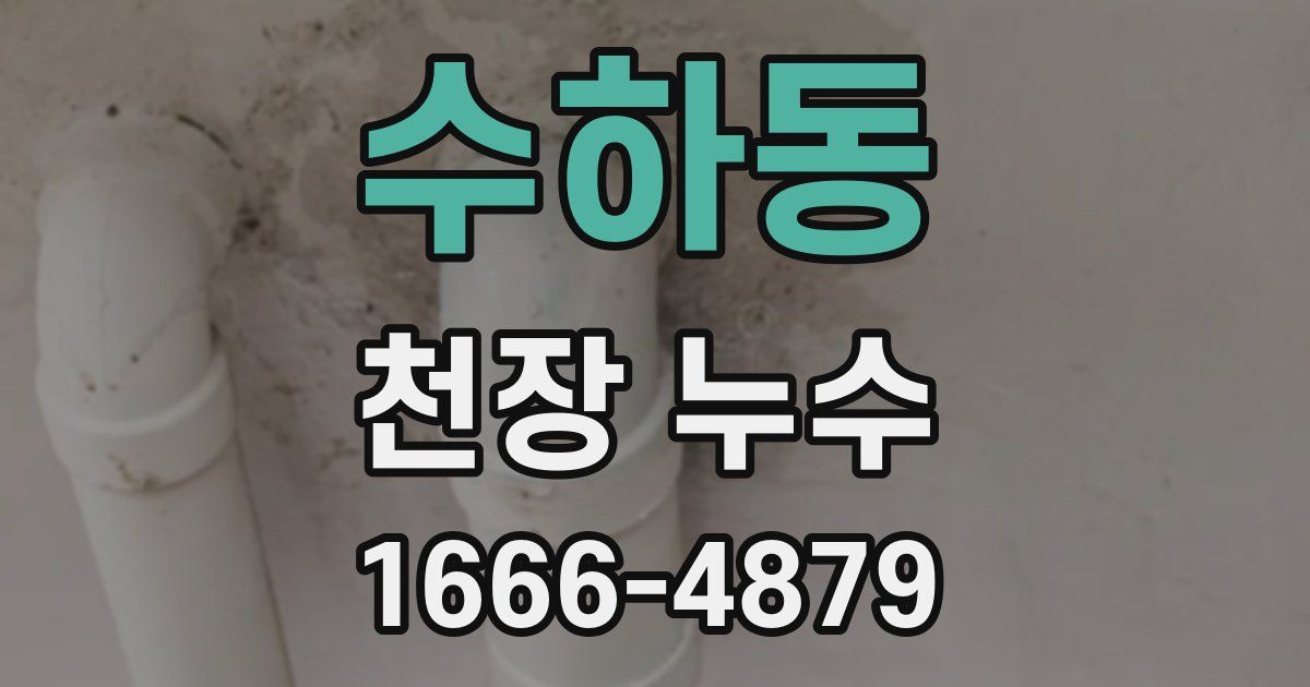 수하동 천장 누수