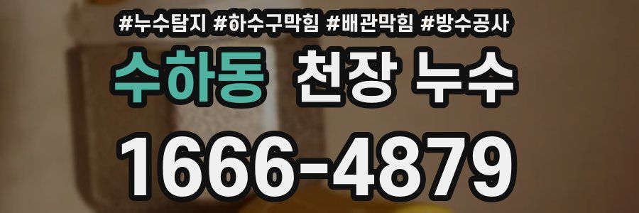 수하동 천장 누수