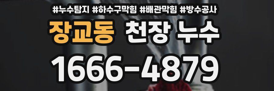장교동 천장 누수