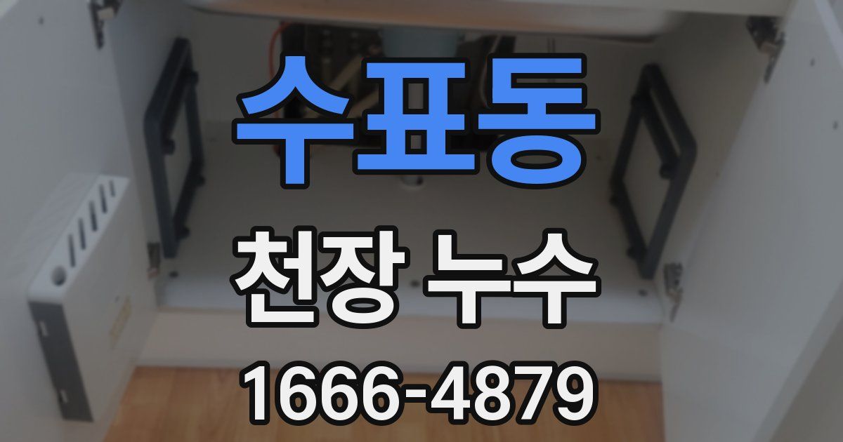 수표동 천장 누수
