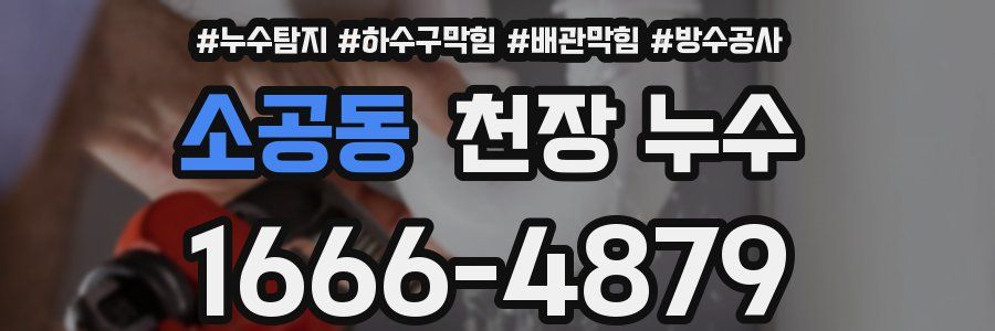소공동 천장 누수