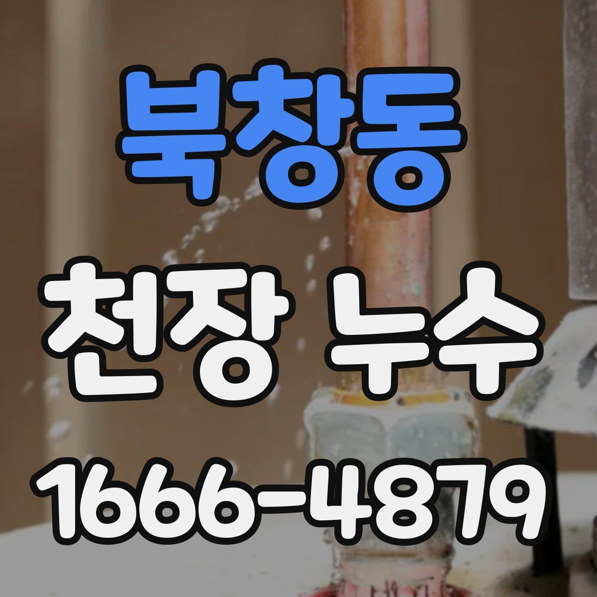 북창동 천장 누수