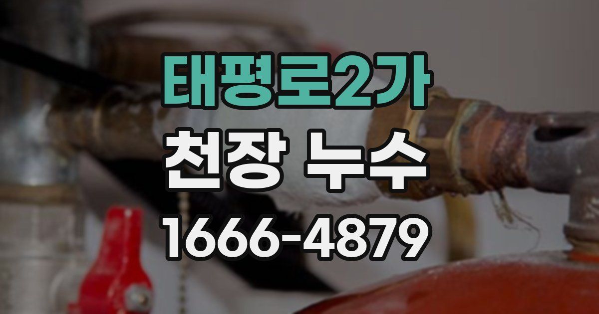 태평로2가 천장 누수