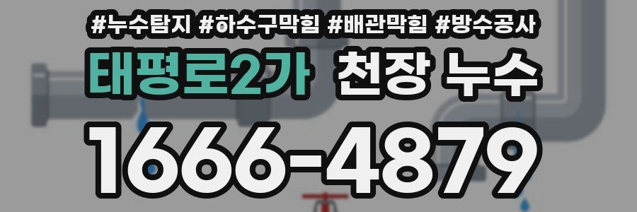 태평로2가 천장 누수