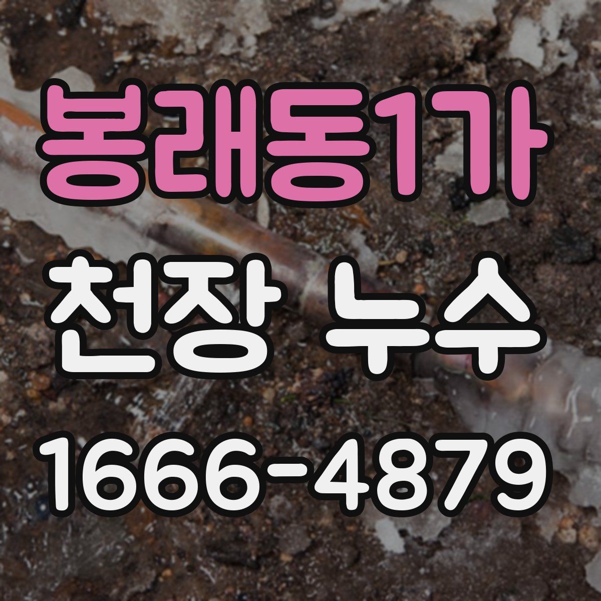 봉래동1가 천장 누수