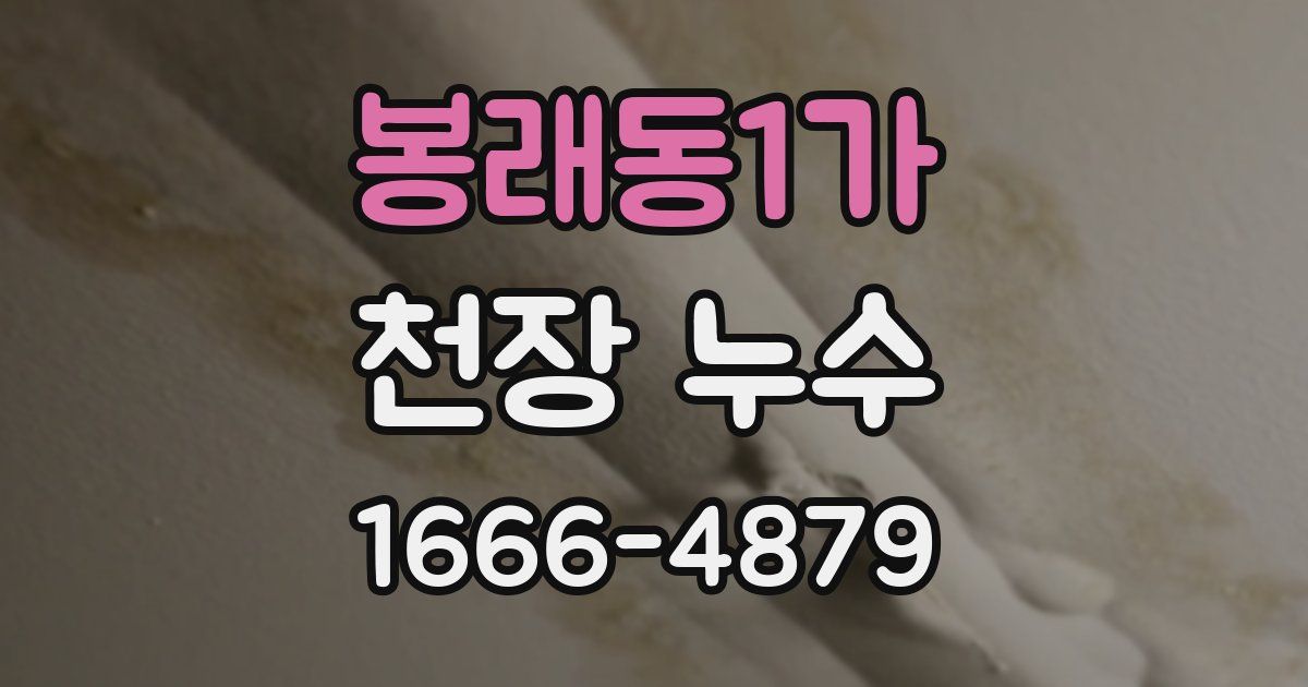 봉래동1가 천장 누수