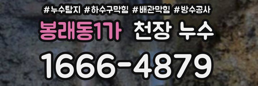 봉래동1가 천장 누수