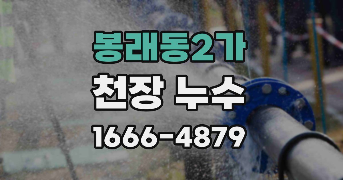 봉래동2가 천장 누수