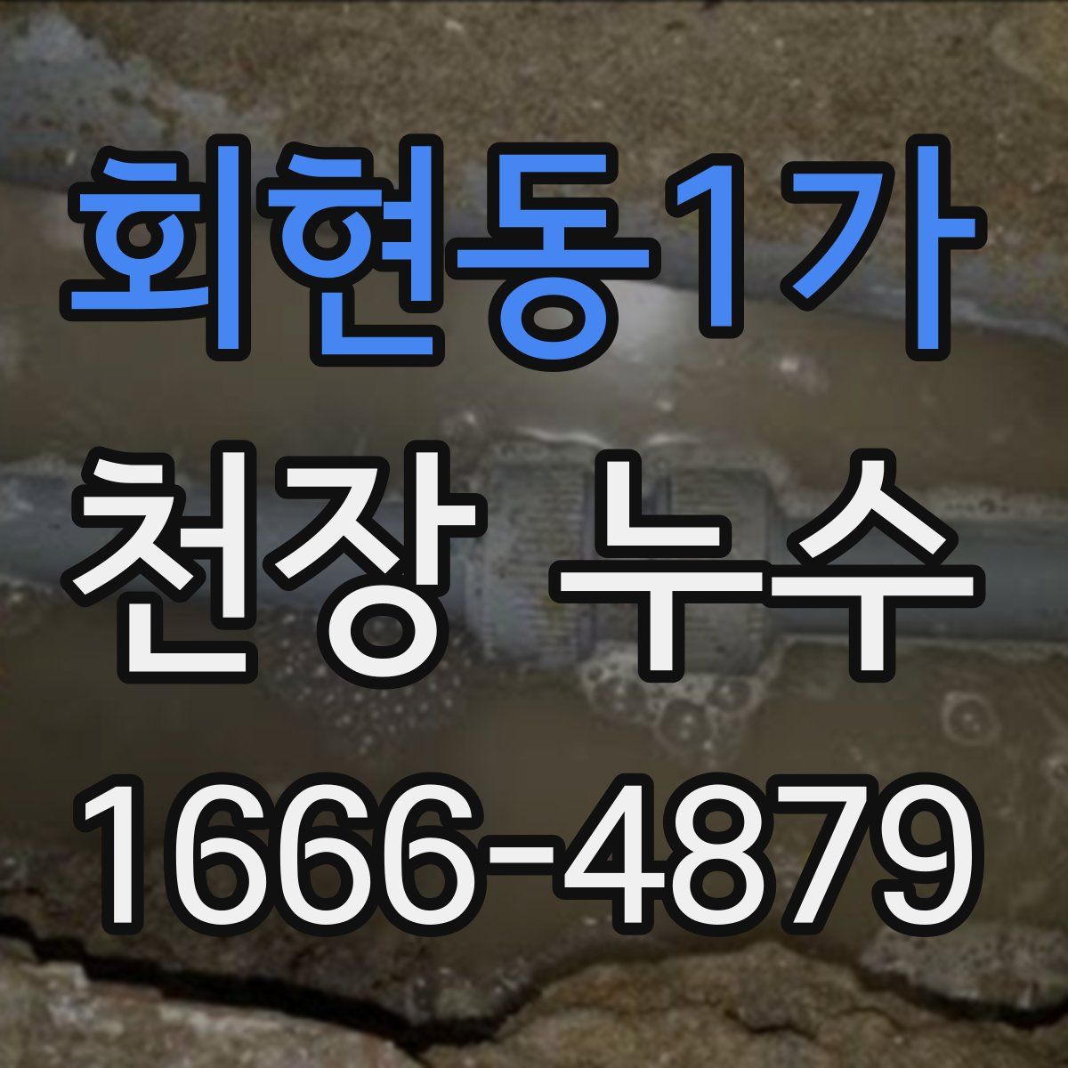 회현동1가 천장 누수