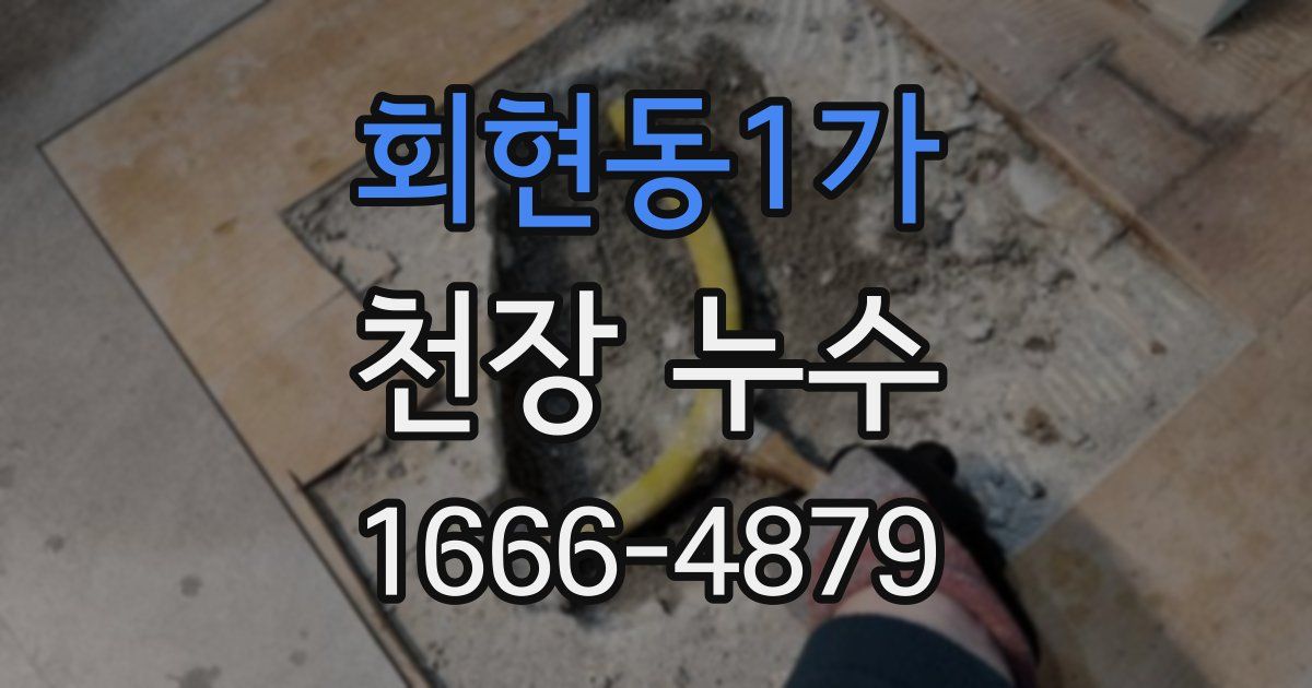 회현동1가 천장 누수