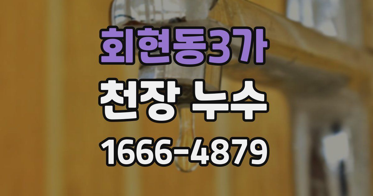 회현동3가 천장 누수