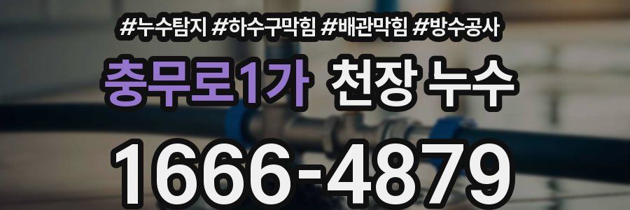 충무로1가 천장 누수