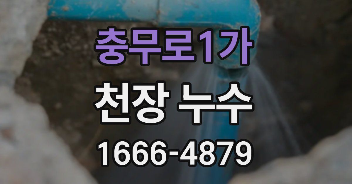 충무로1가 천장 누수