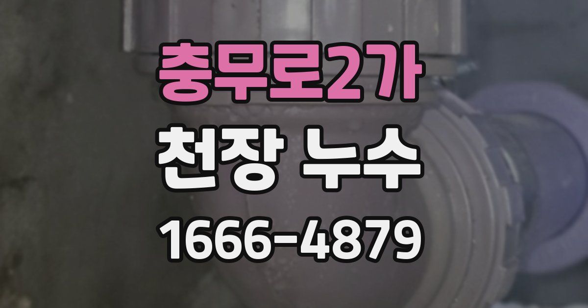 충무로2가 천장 누수