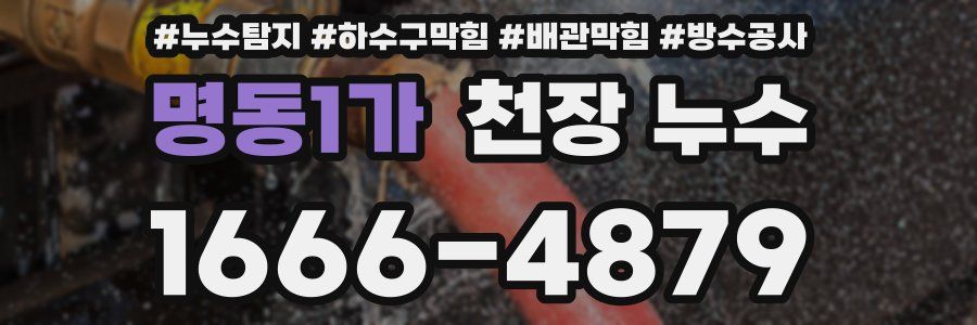 명동1가 천장 누수