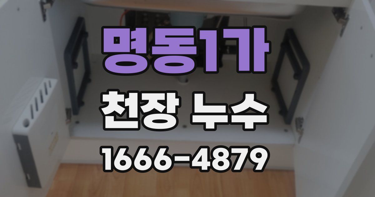 명동1가 천장 누수