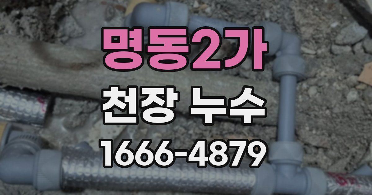명동2가 천장 누수