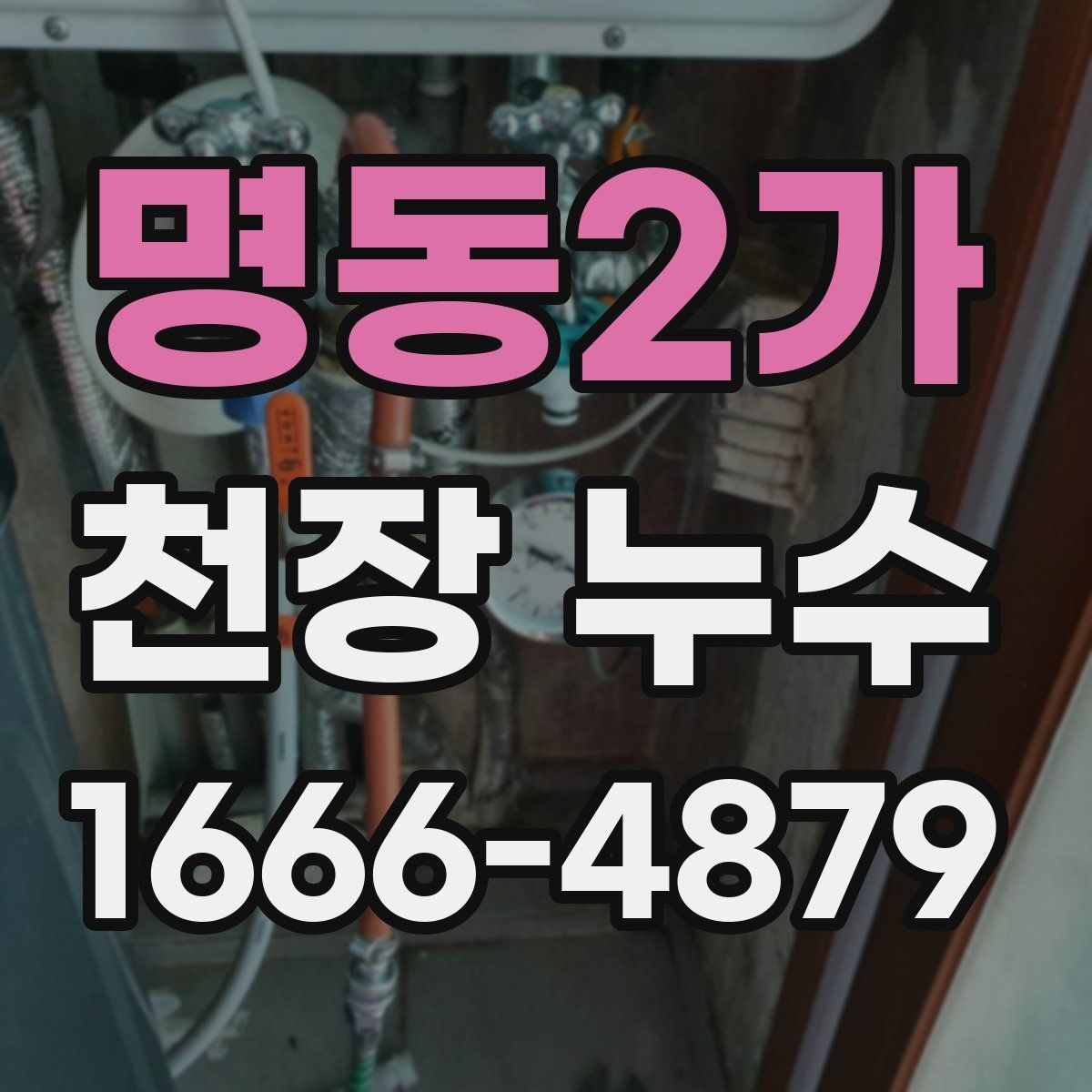 명동2가 천장 누수