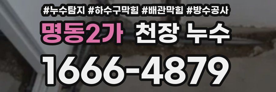 명동2가 천장 누수