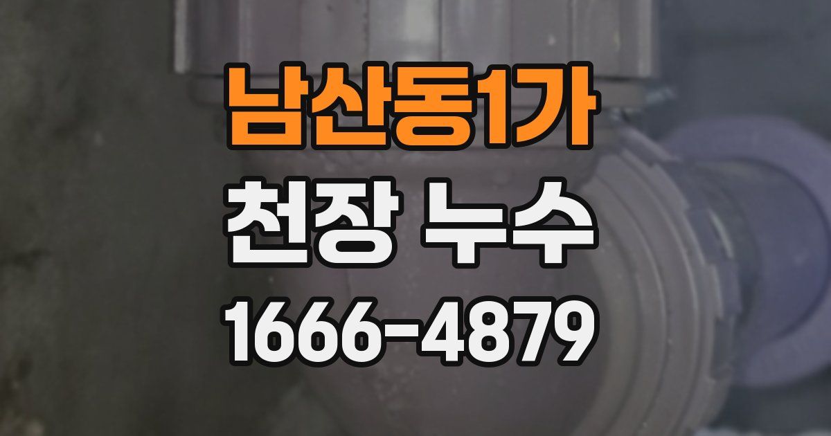 남산동1가 천장 누수