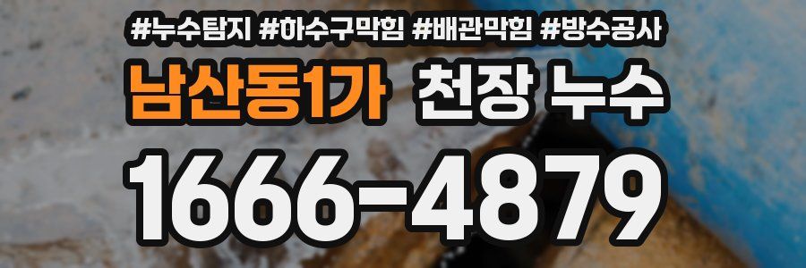 남산동1가 천장 누수