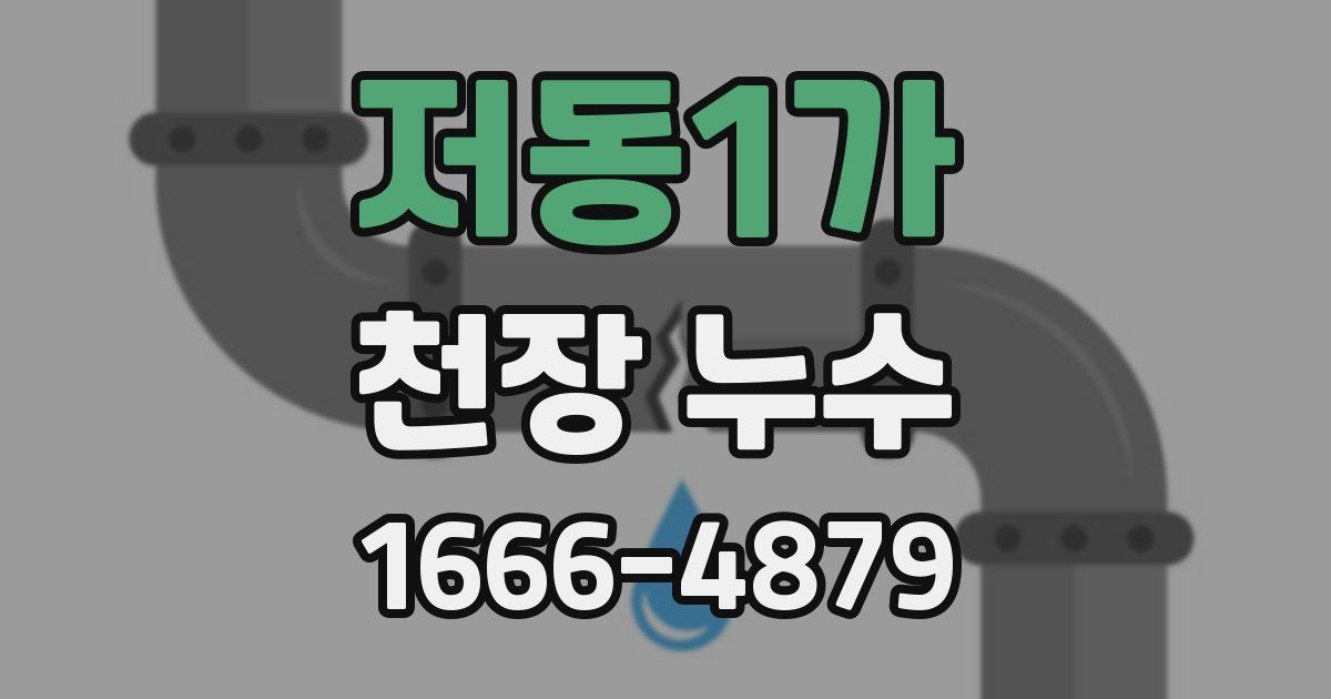 저동1가 천장 누수