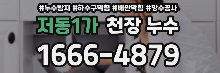 저동1가 천장 누수