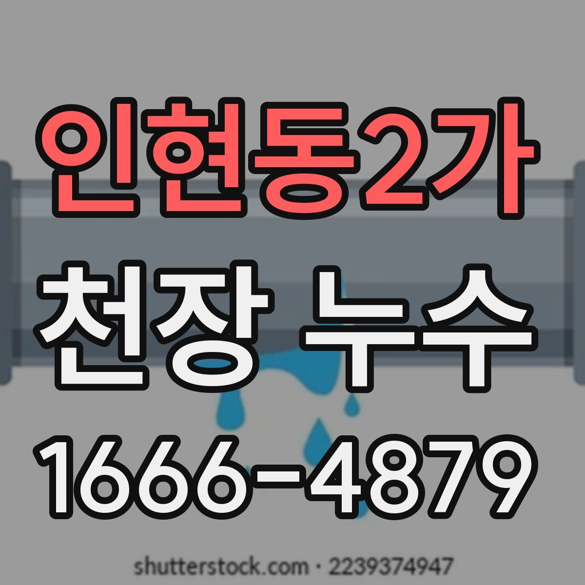 인현동2가 천장 누수