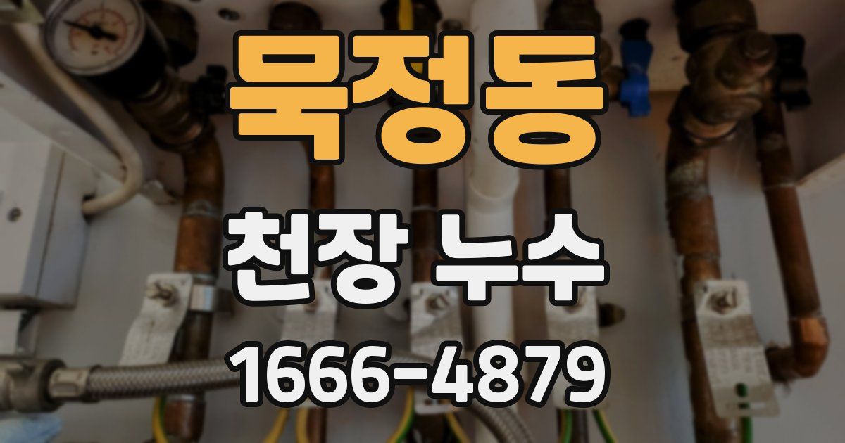 묵정동 천장 누수