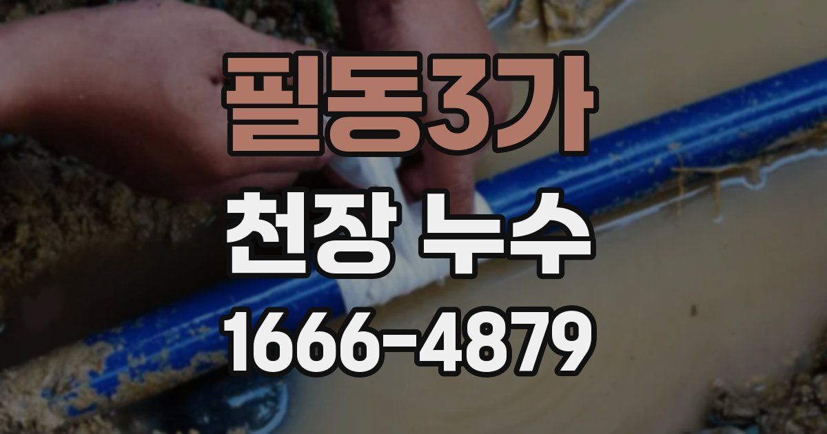 필동3가 천장 누수