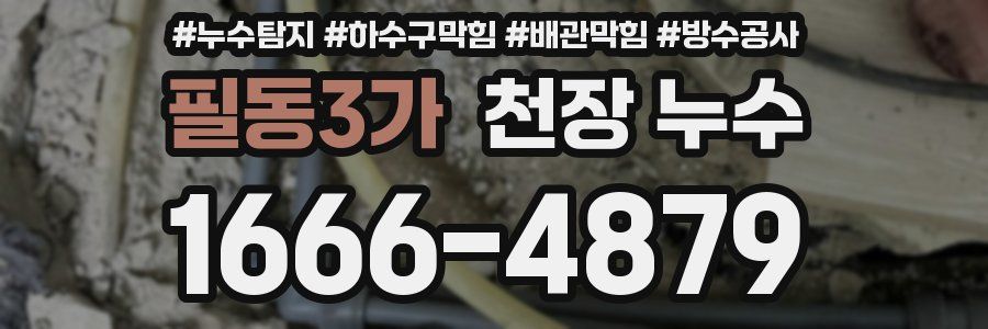 필동3가 천장 누수