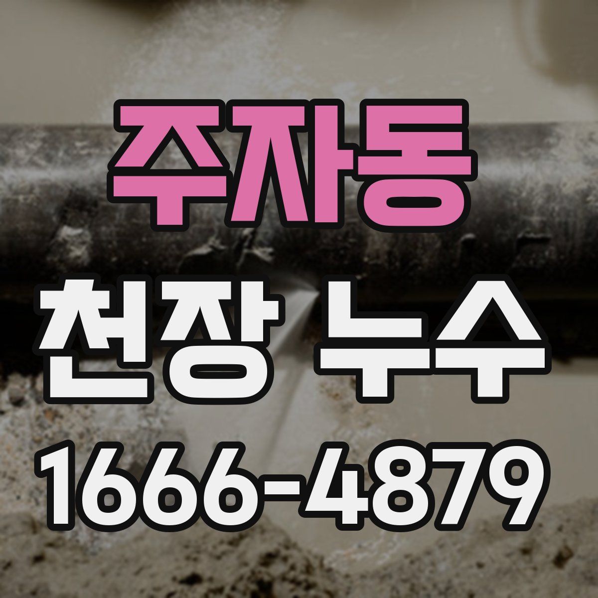 주자동 천장 누수