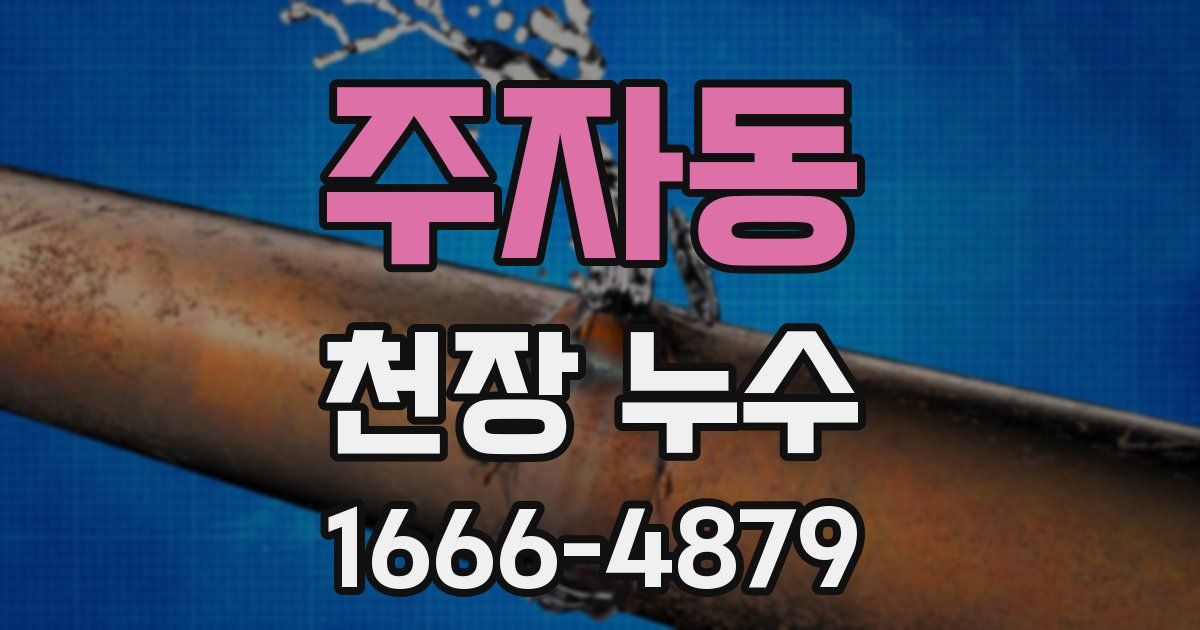 주자동 천장 누수