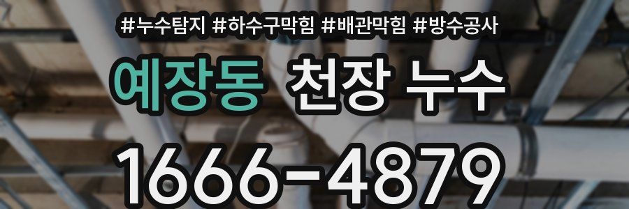 예장동 천장 누수