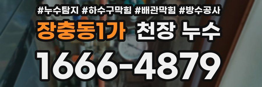 장충동1가 천장 누수
