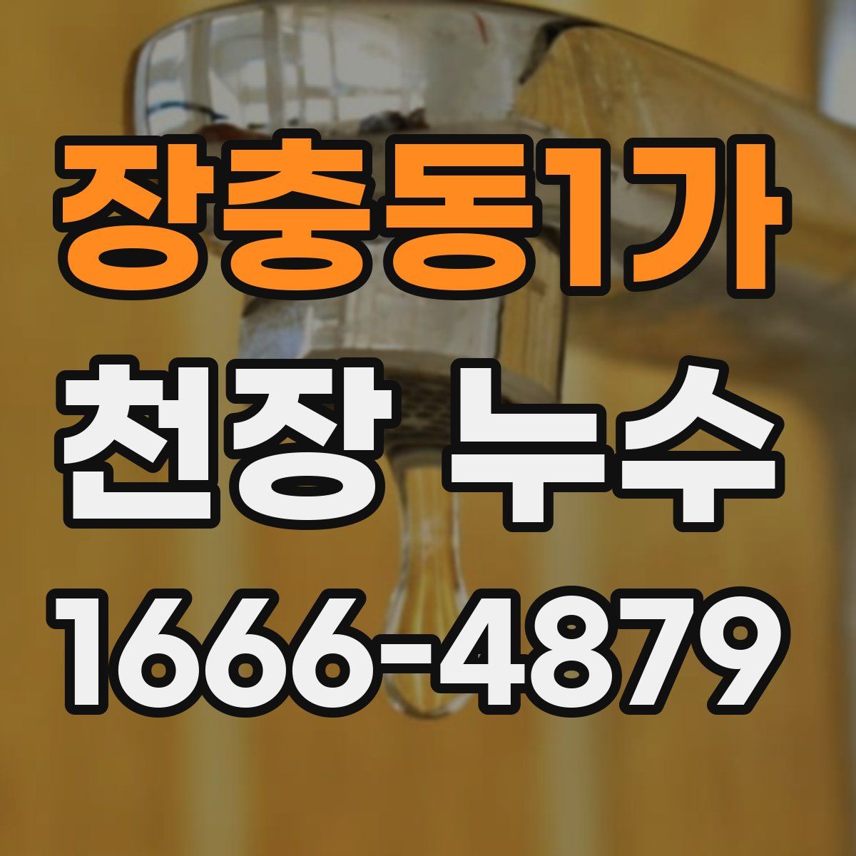 장충동1가 천장 누수