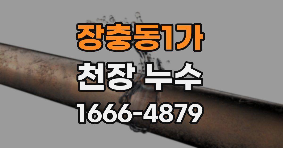 장충동1가 천장 누수